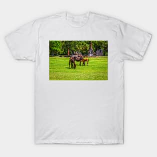 Wild Horses at Cumberland Island National Seashore T-Shirt